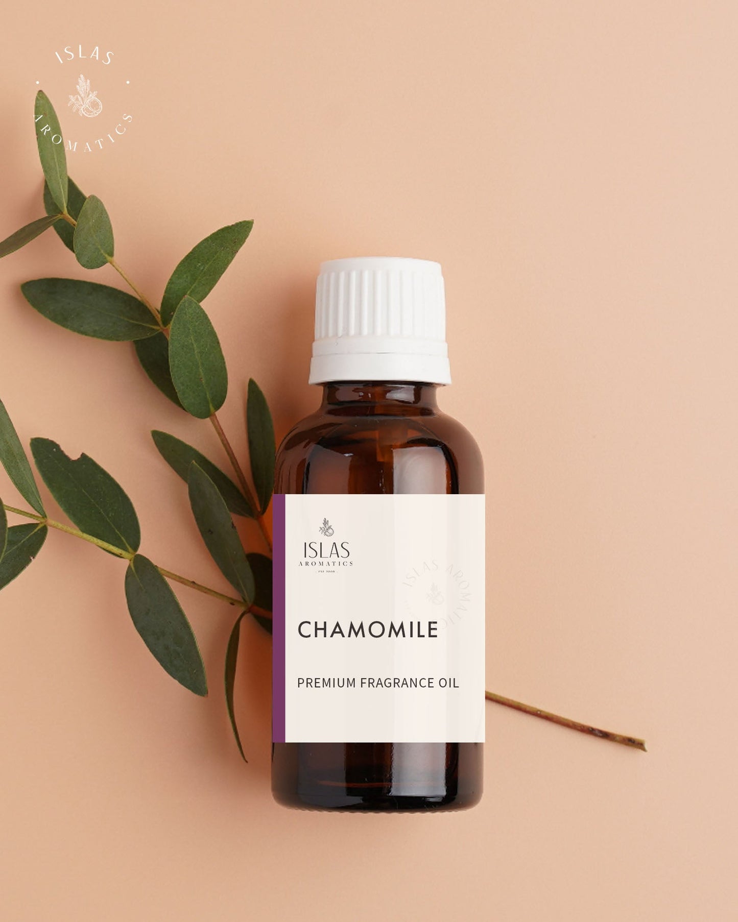 Chamomile FO
