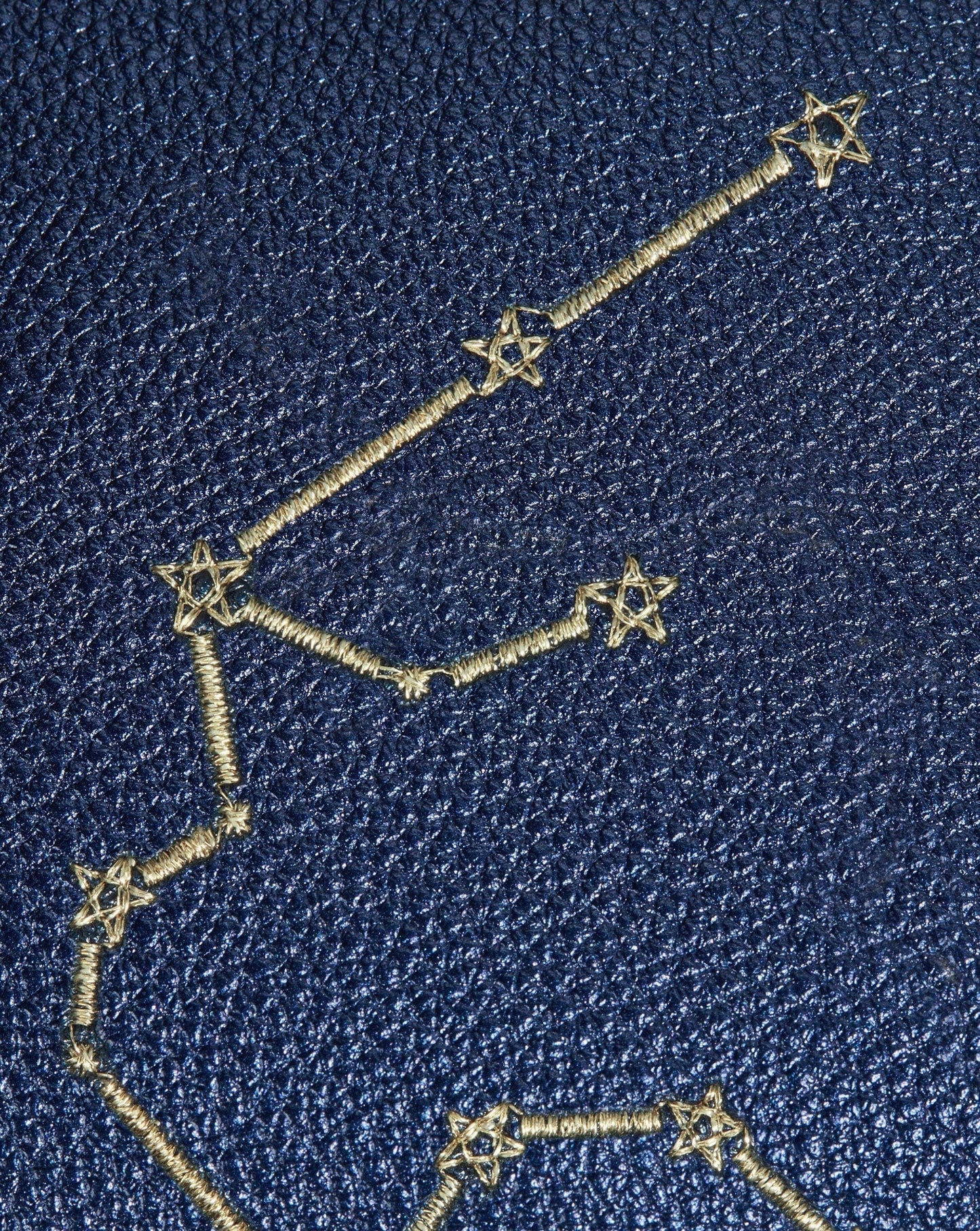 Constellation Pouch | Aquarius