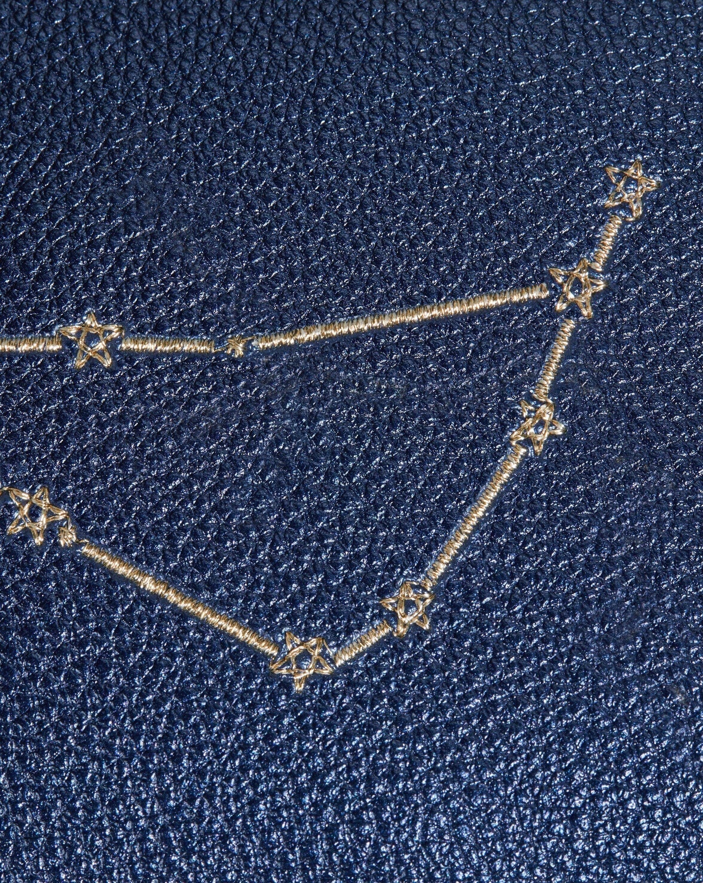 Constellation Pouch | Capricorn