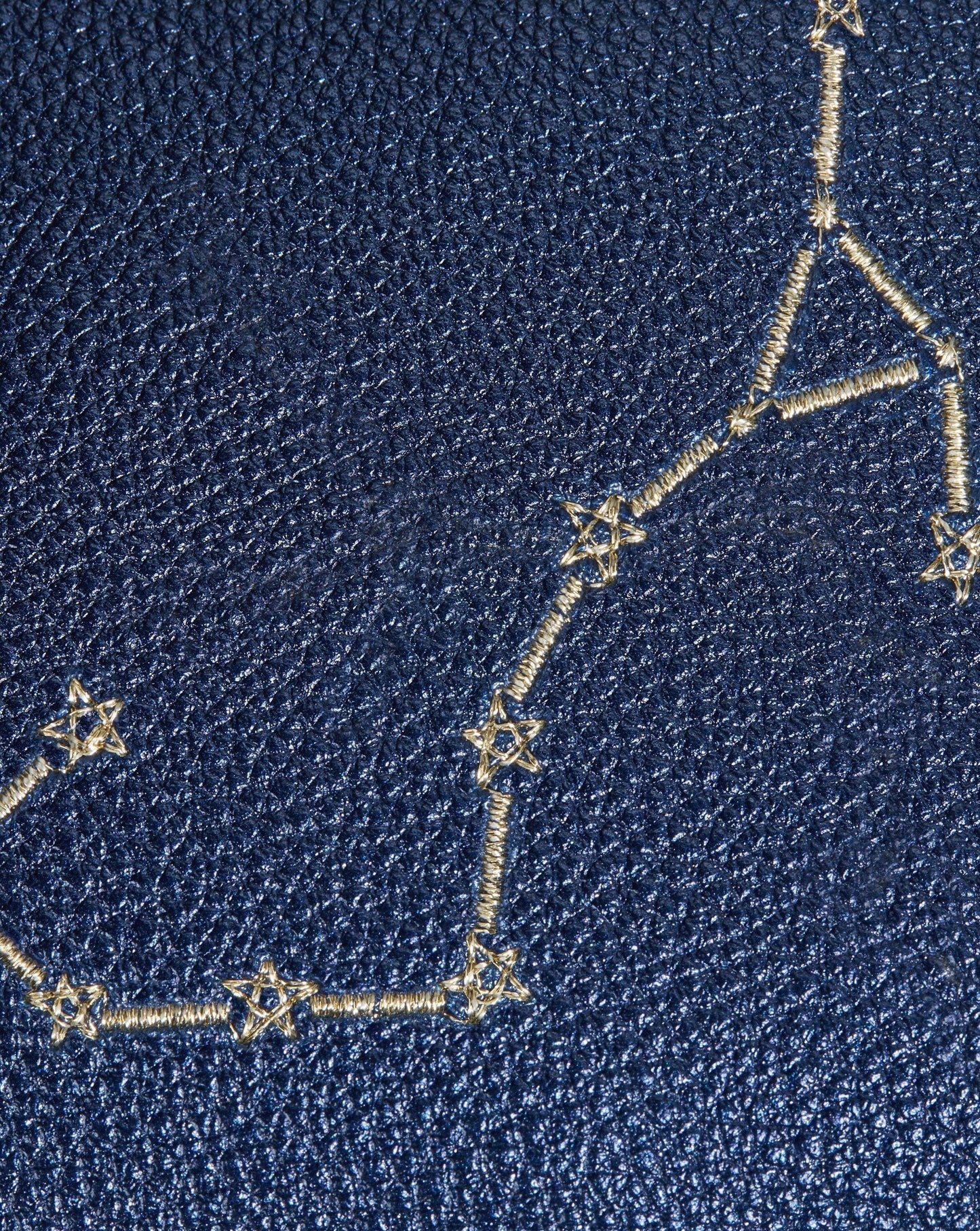 Constellation Pouch | Scorpio