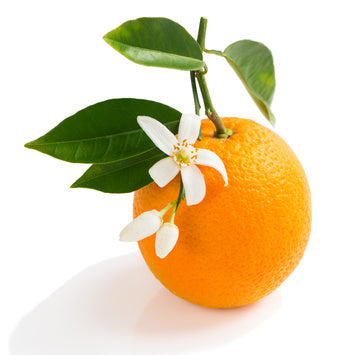 Orange Sweet EO