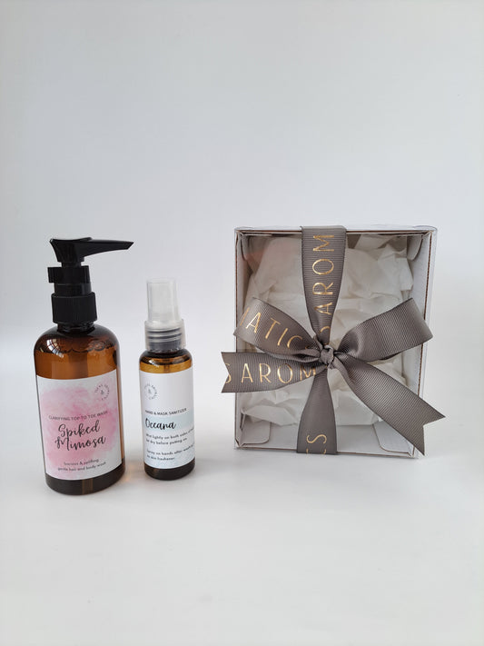 Gift Set (50ml H&M Sanitizer, 120ml H&B Wash)