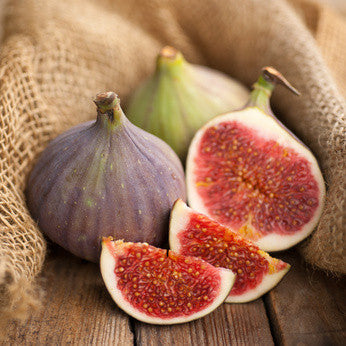 Mediterranean Fig FO