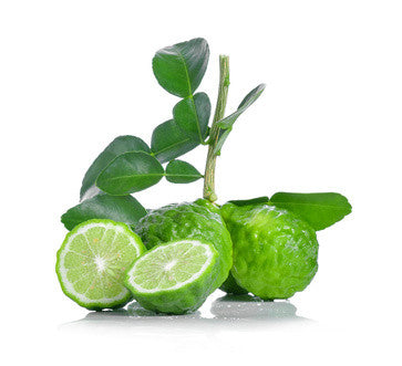 Bergamot EO (Calabrian)