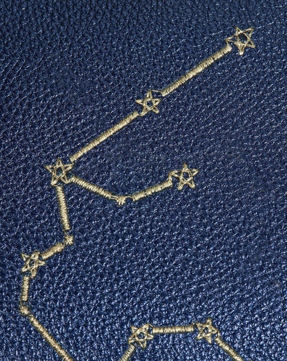 Constellation Pouch | Aquarius