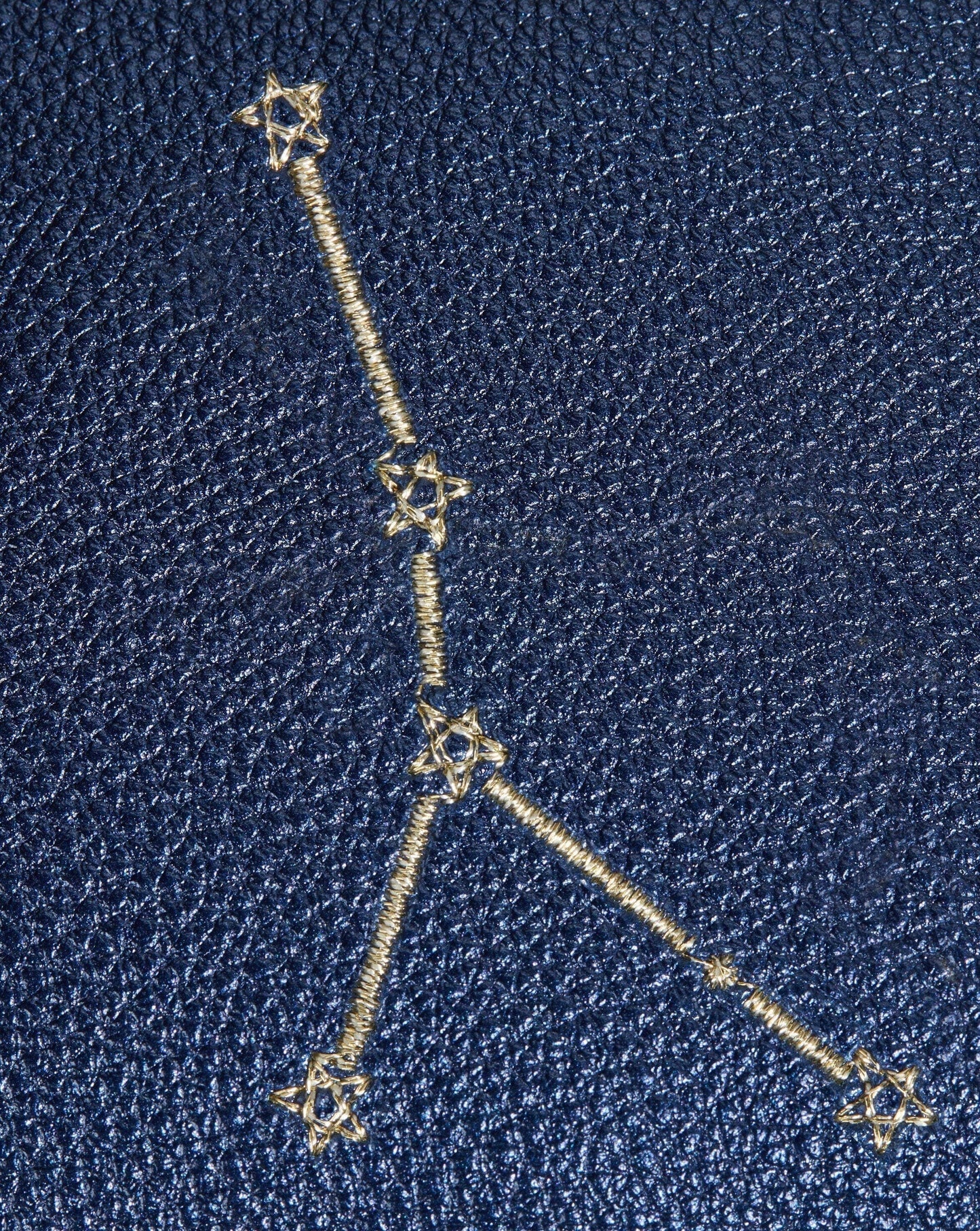 Constellation Pouch | Cancer