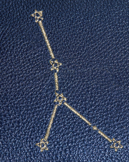 Constellation Pouch | Cancer