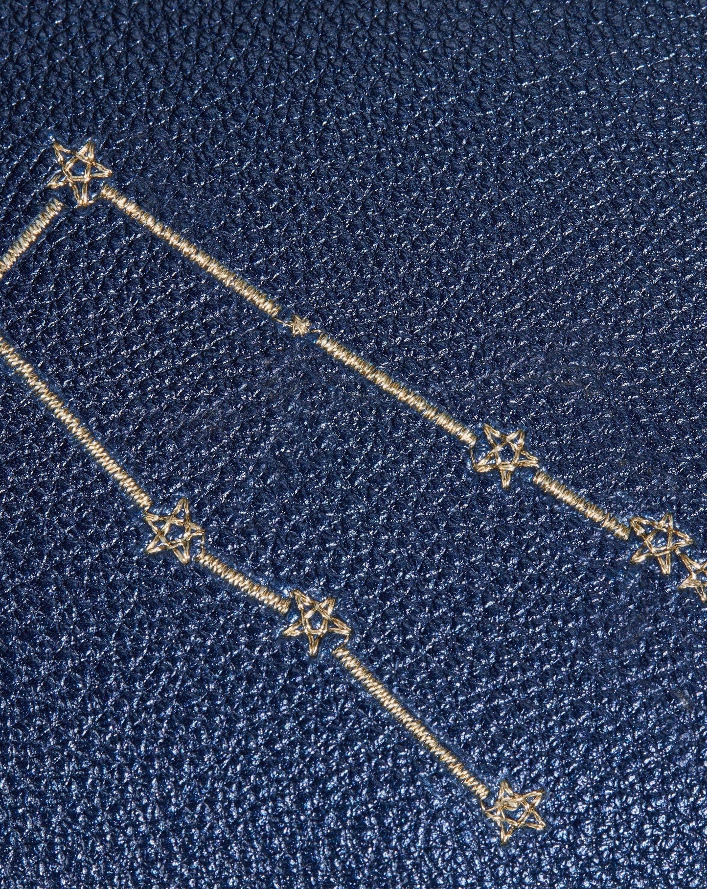 Constellation Pouch | Gemini