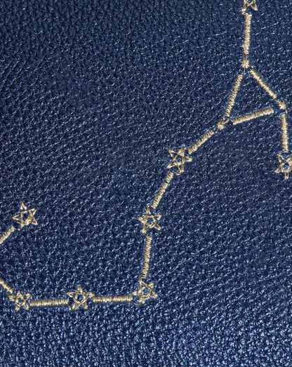 Constellation Pouch | Scorpio