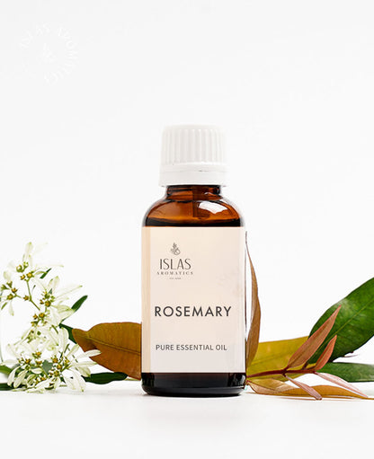 Rosemary (Spain) EO