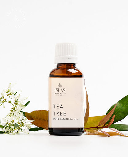 Tea Tree (Australia) EO