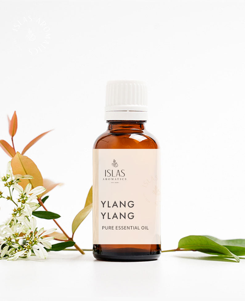 Ylang Ylang EO (Madagascar)