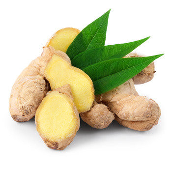 Ginger Root Dried EO