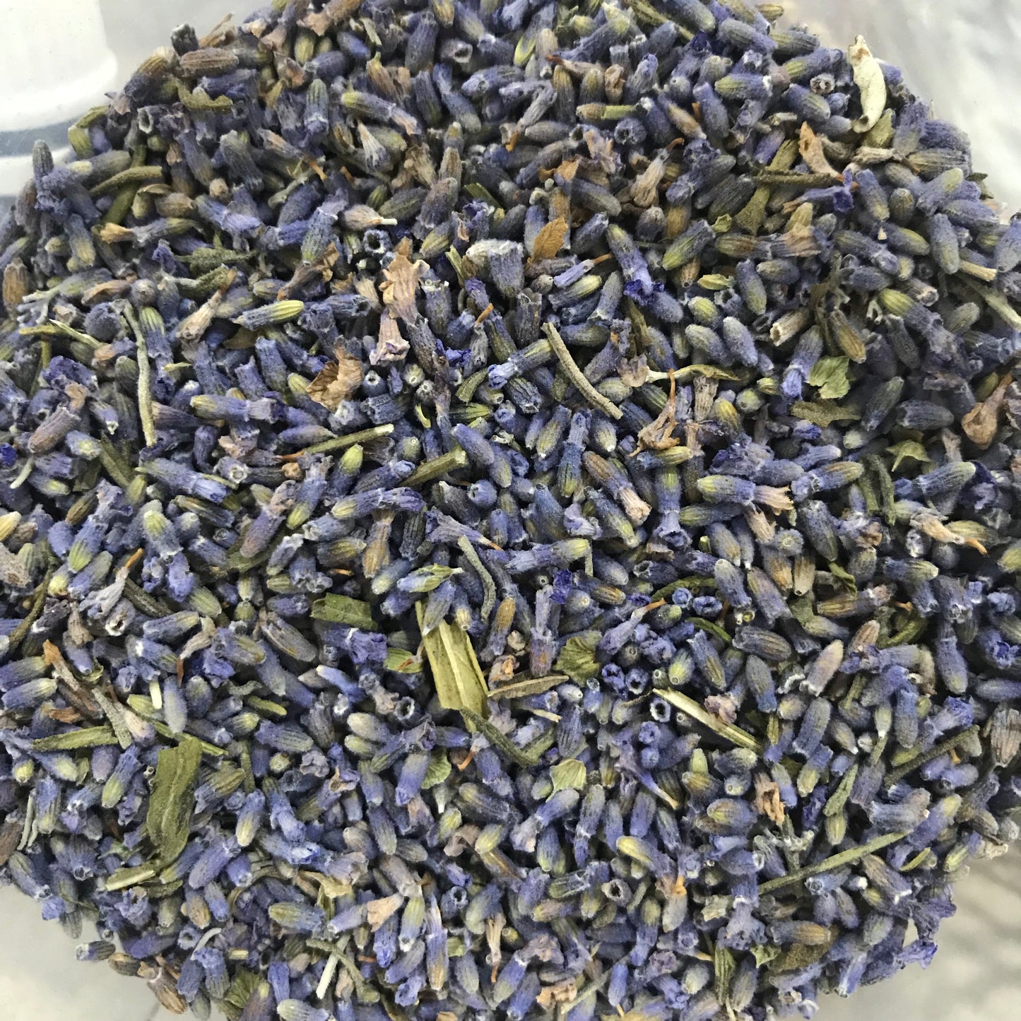 Lavender Flower Buds (France)