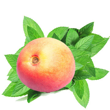 Nectarine Mint (BBW Type) FO