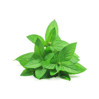 Peppermint Swiss EO